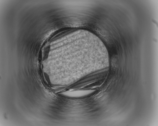 X0000094800540200711301541