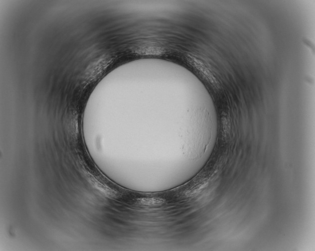 X0000094800541200711301541
