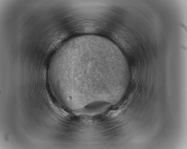 X0000094800542200711301541