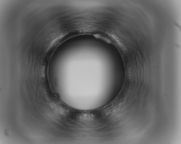 X0000094800543200711301541