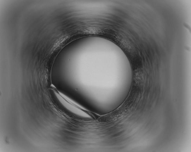 X0000094800544200711301541