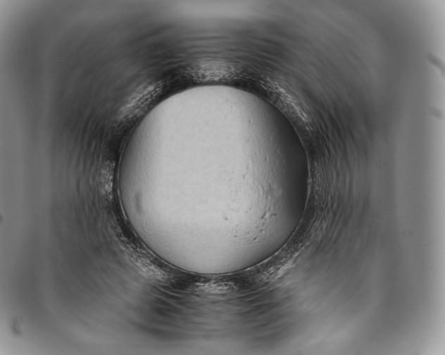 X0000094800545200711301541