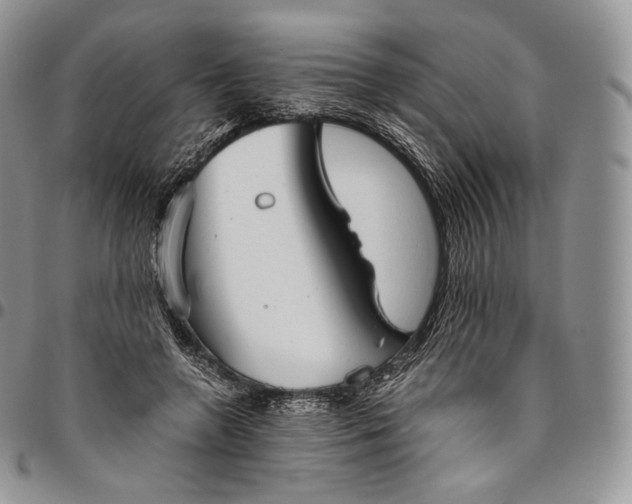 X0000094800546200711301541