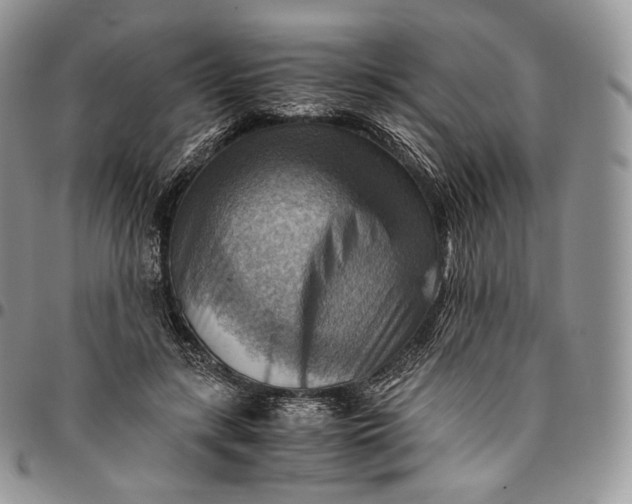 X0000094800547200711301541