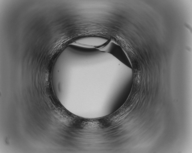 X0000094800548200711301541