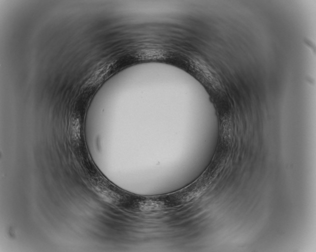 X0000094800549200711301541
