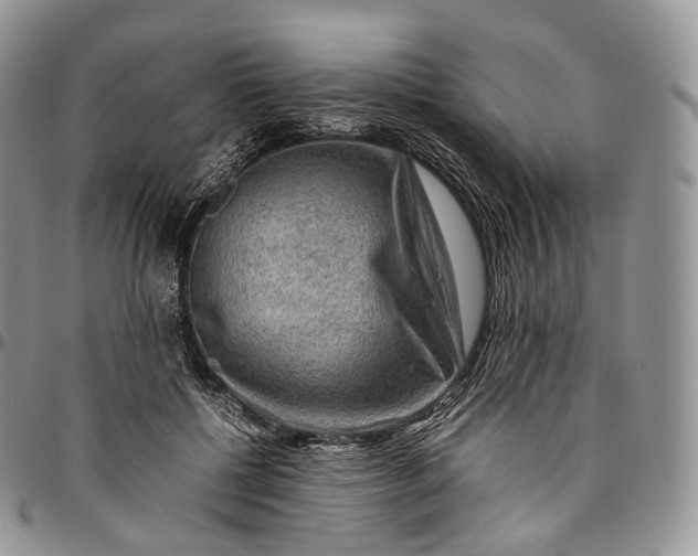 X0000094800552200711301541