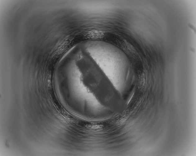 X0000094800553200711301541