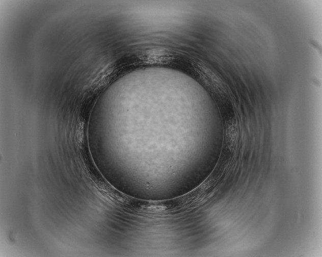 X0000094800554200711301541