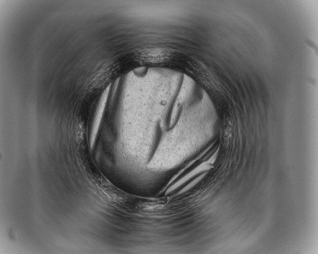 X0000094800555200711301541