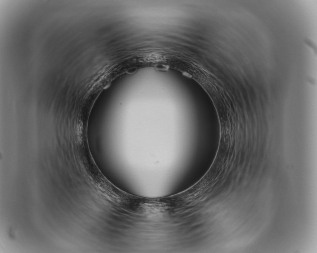 X0000094800556200711301541