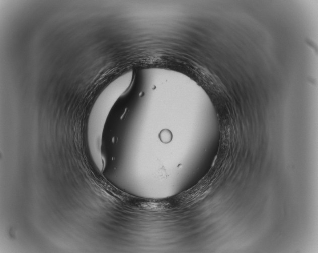 X0000094800558200711301541
