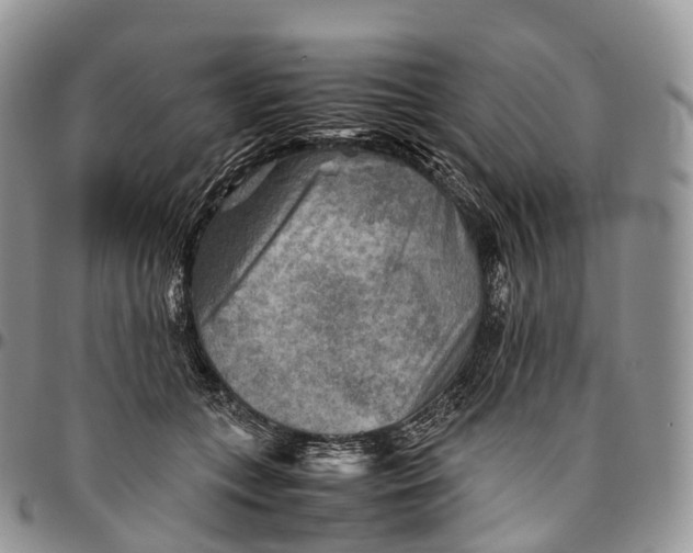 X0000094800559200711301541