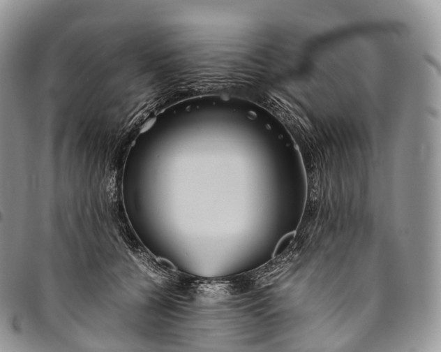 X0000094800560200711301541