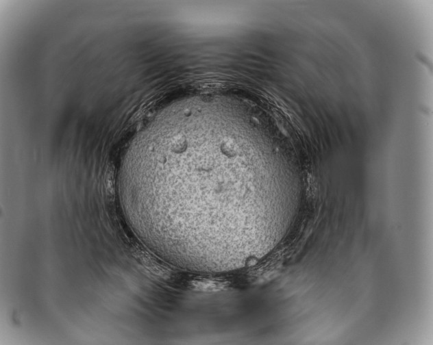 X0000094800561200711301541