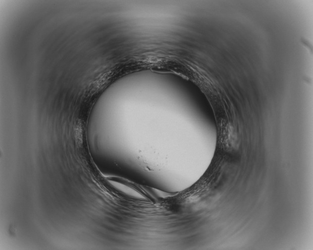 X0000094800562200711301542