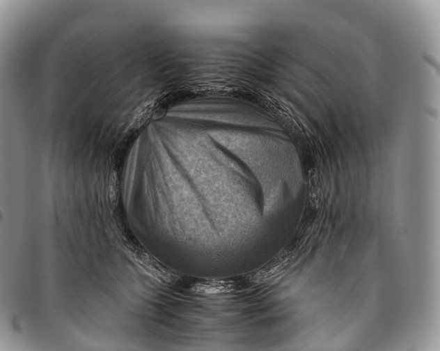 X0000094800563200711301542