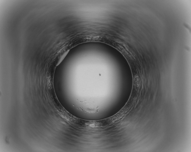 X0000094800564200711301542