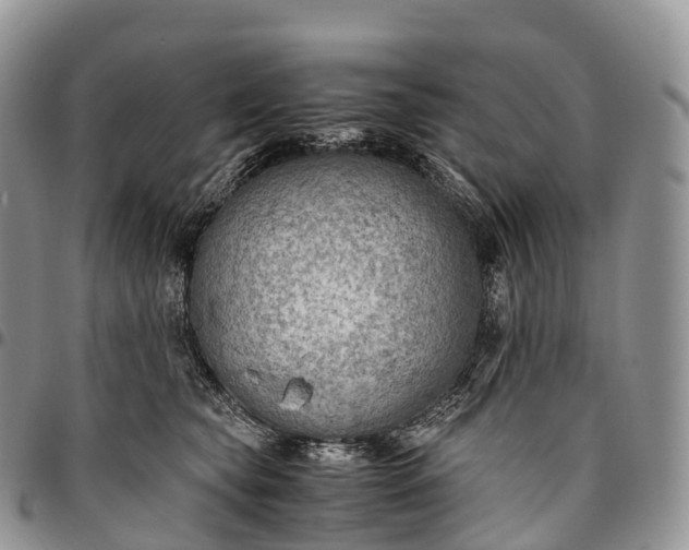 X0000094800565200711301542