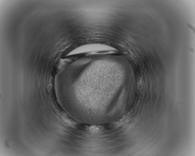 X0000094800566200711301542