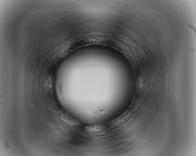 X0000094800567200711301542