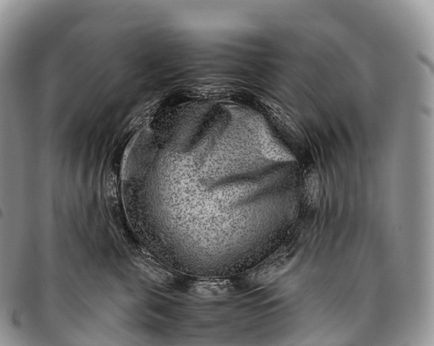 X0000094800571200711301542