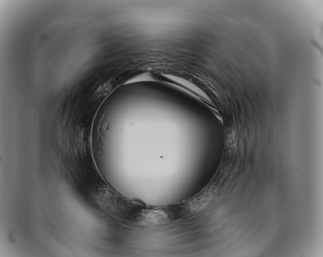 X0000094800572200711301542
