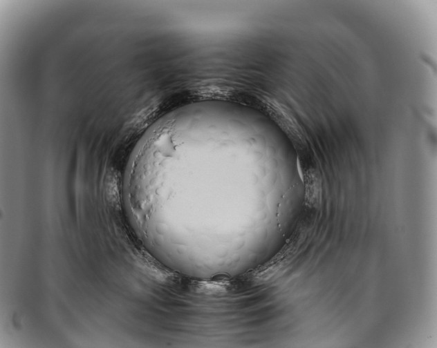X0000094800573200711301542