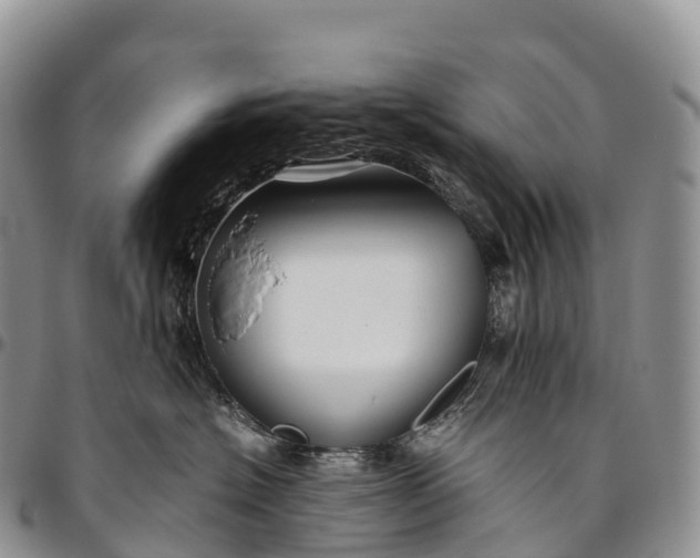 X0000094800574200711301542