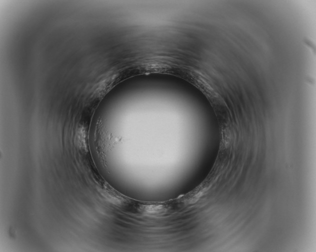 X0000094800575200711301542