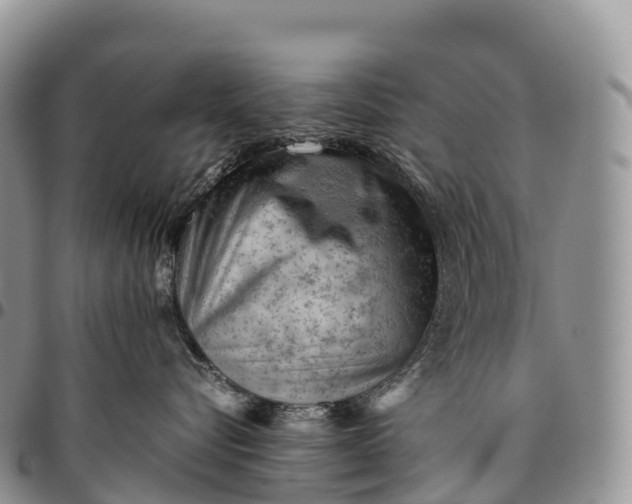 X0000094800576200711301542
