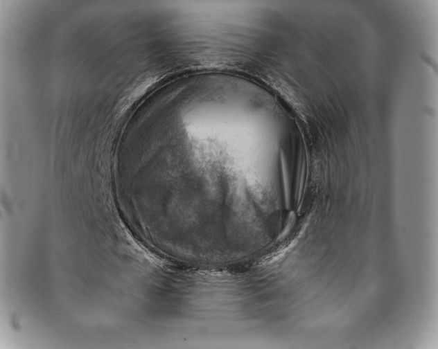 X0000094800577200711301541
