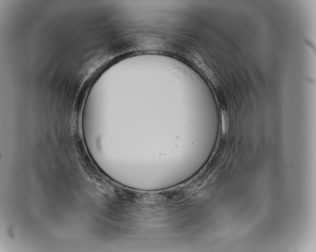 X0000094800579200711301541