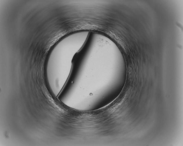 X0000094800581200711301541