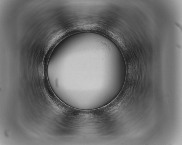 X0000094800582200711301541
