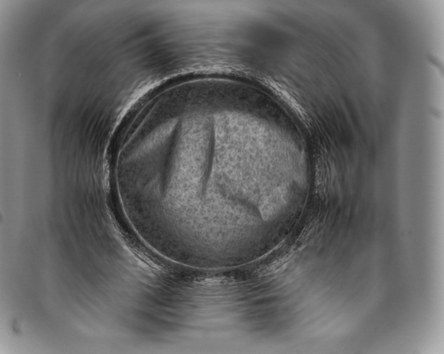 X0000094800584200711301541