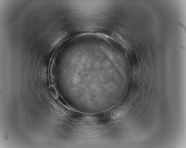 X0000094800585200711301541