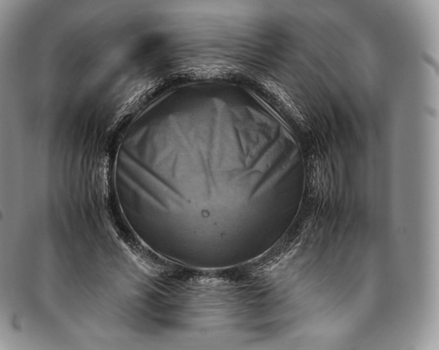 X0000094800590200711301541