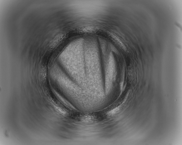 X0000094800593200711301541