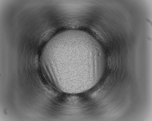 X0000094800594200711301541