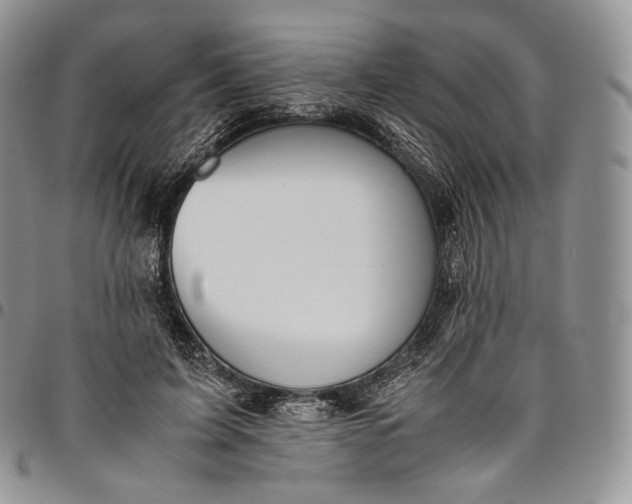 X0000094800595200711301541