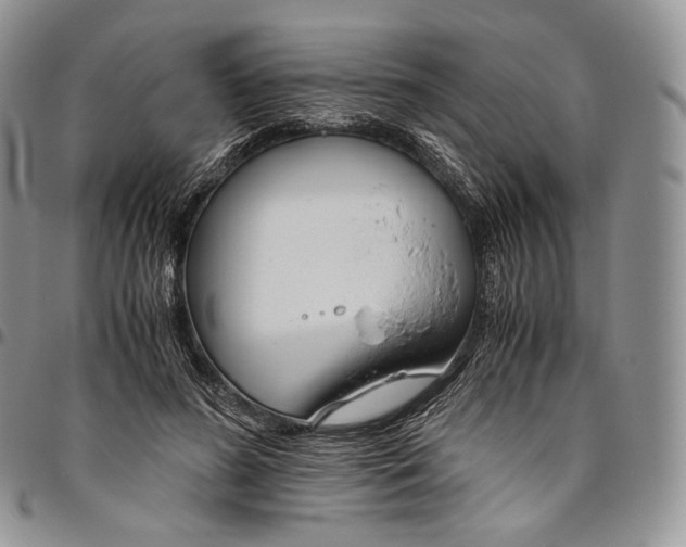 X0000094800596200711301541