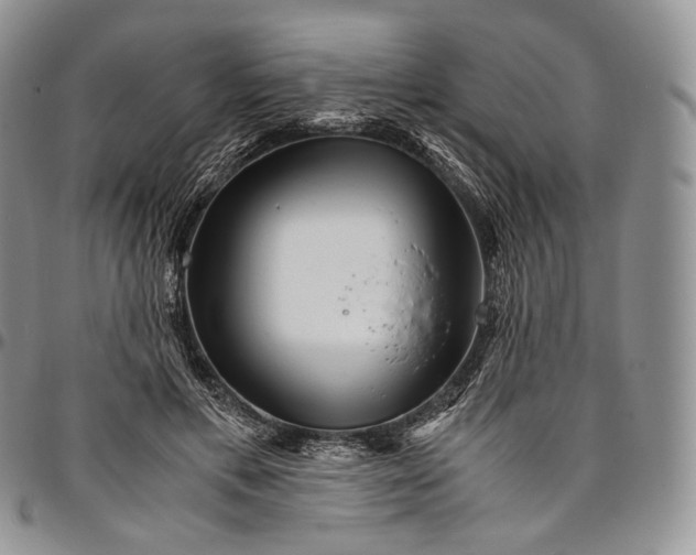 X0000094800597200711301541