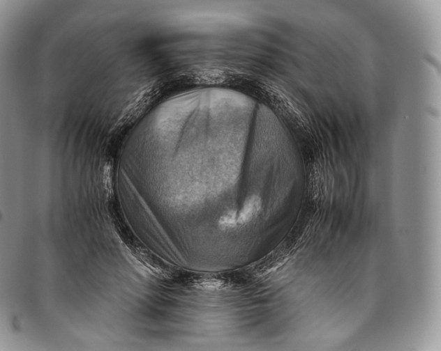 X0000094800598200711301541