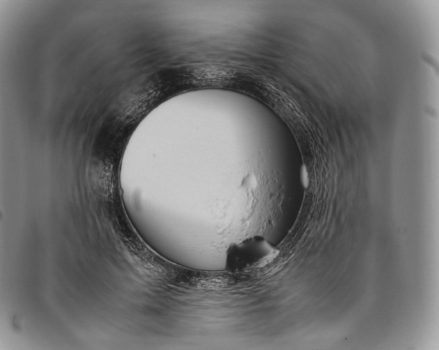 X0000094800599200711301541