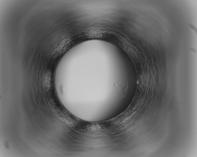 X0000094800600200711301541
