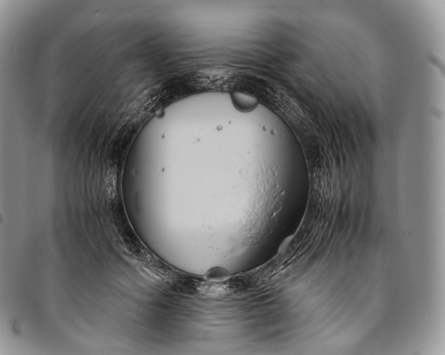 X0000094800602200711301541