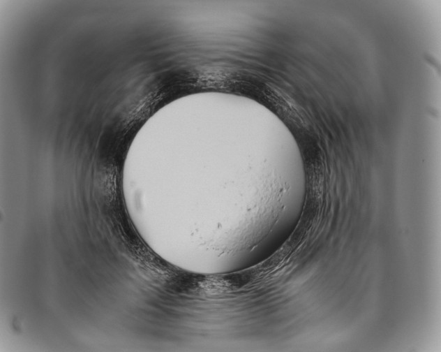 X0000094800603200711301541