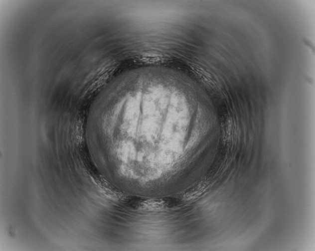 X0000094800606200711301541