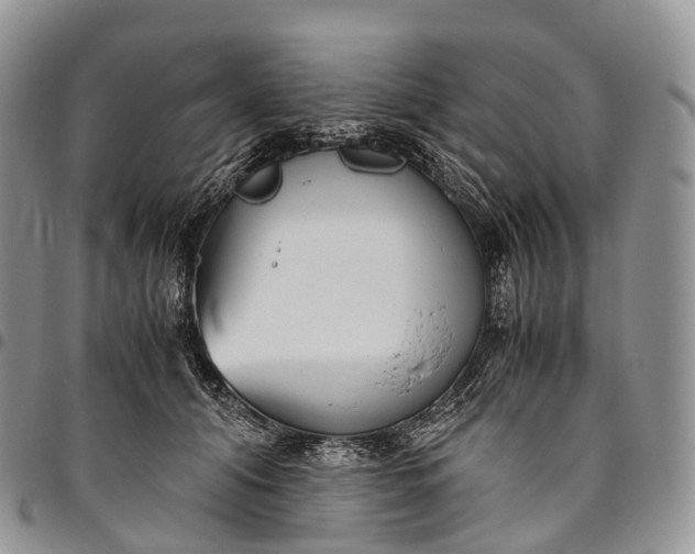 X0000094800608200711301541